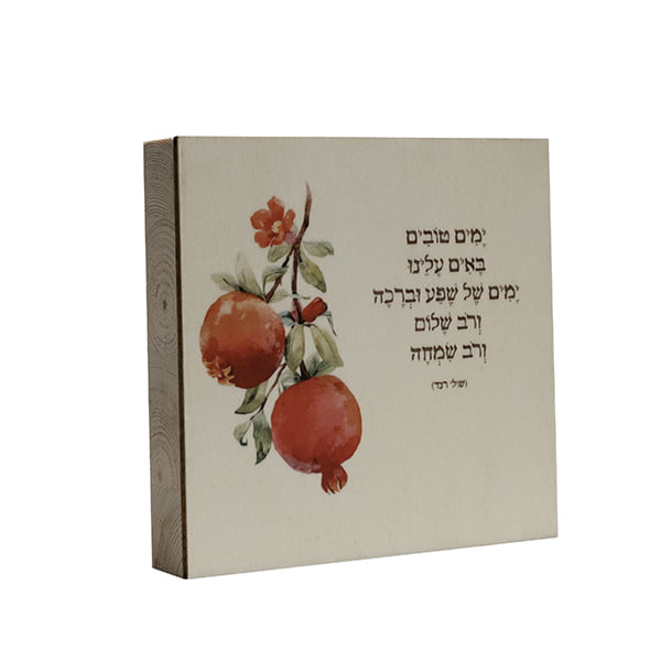 שיר במתנה - ימים טובים (שולי רנד)