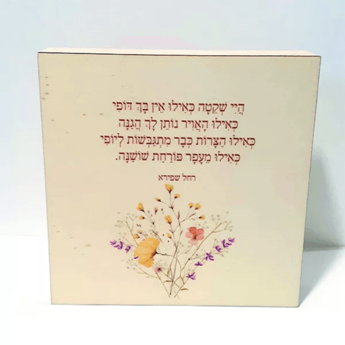 שיר במתנה - היי שקטה (רחל שפירא)