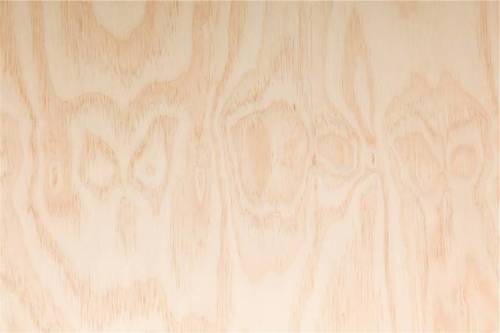תרזה אמריקאית באסווד (Basswood), בסווד,