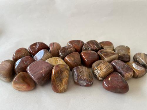 עץ מאובן אדומה חלוק RED PETRIFIED WOOD