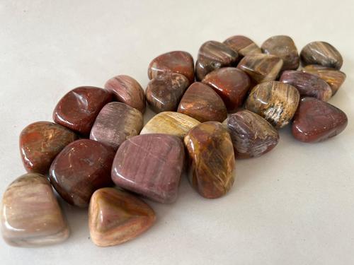 עץ מאובן אדומה חלוק RED PETRIFIED WOOD
