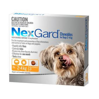 NexGard כדורי לעיסה - טיפול בפרעושים וקרציות לכלבים