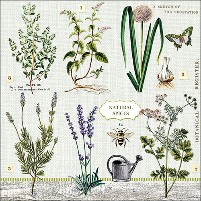 מפית - Herbs garden