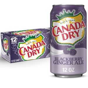 Canada Dry Blackberry Ginger Ale 12 Pack - מארז 12 קנדה דריי פטל שחור