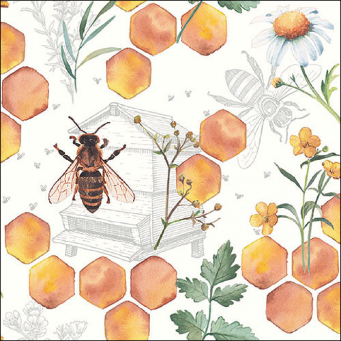 מפית - Honeycomb