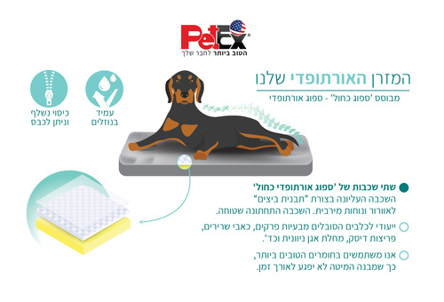 פטקס מיטה אורתופדית - 60x50x8 ס