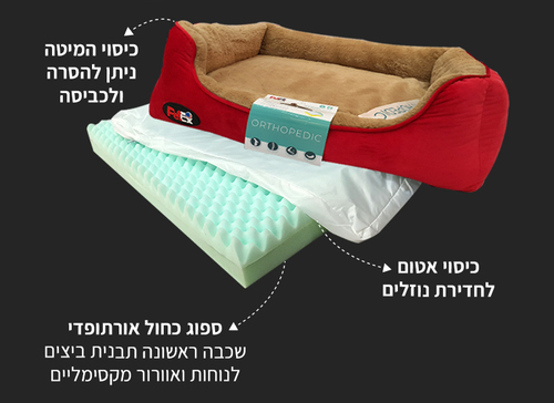 פטקס מיטה אורתופדית - 90x70x8 ס