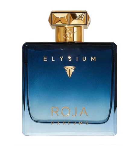 בושם לגבר רוג'ה Roja Elysium Pour Homme EDP 100 ml