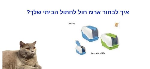  - איך לבחור ארגז חול לחתולים ביתיים? - 1