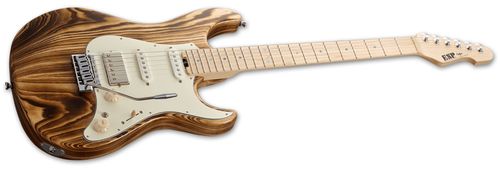 זוית נוספת ESP SNAPPER