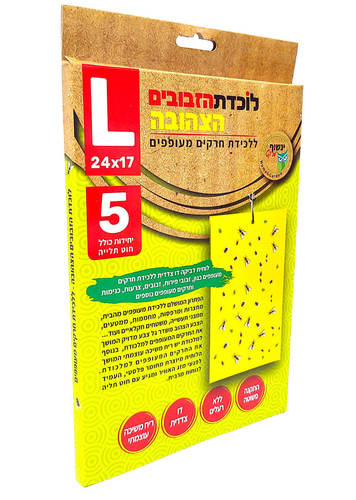 לוכדת הזבובים הצהובה