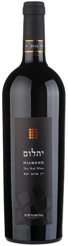 בנימינה אבני חושן יהלום