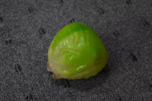 שייקר בצורת חסה NINO Lettuce Shaker