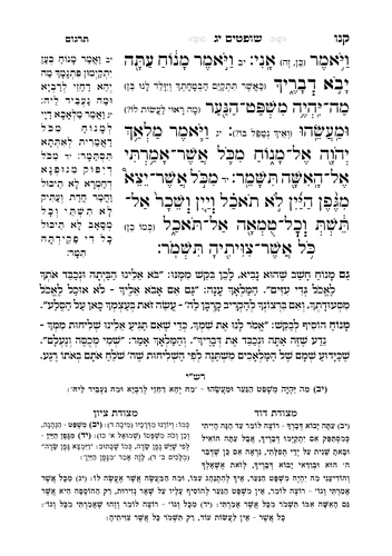 דוגמה מתוך נביאים מאירים