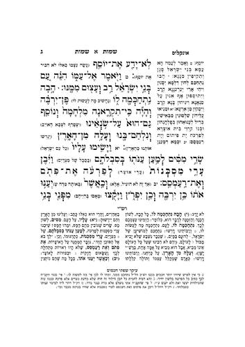 דוגמה מתוך תורה מאירה