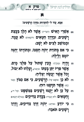 דוגמה מתוך געגועים להשם לבת ישראל