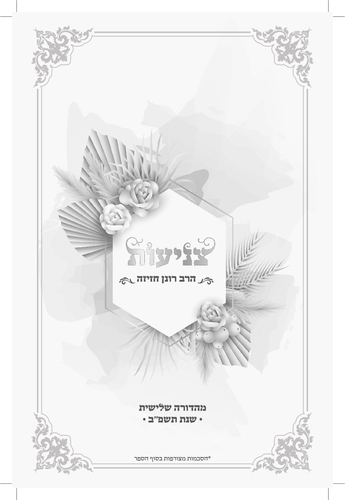 דוגמה מתוך ספר צניעות