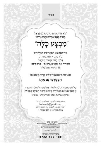 דוגמה מתוך ספר צניעות
