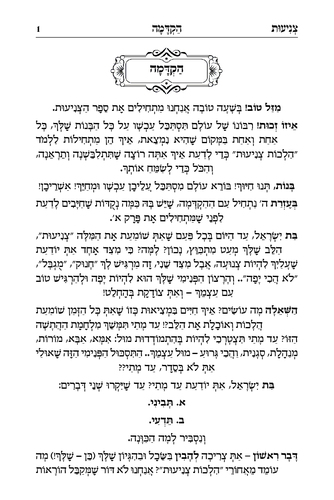 דוגמה מתוך ספר צניעות
