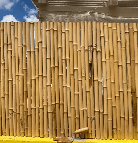 סכך במבוק מושחל עובי קנה 30-35 מ