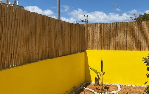 סכך במבוק מושחל עובי קנה 30-35 מ