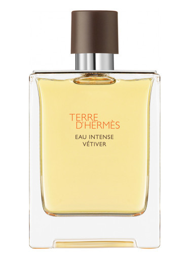 בושם לגבר Terre D'Hermes  Eau Intense Vetiver EDT 100 ml