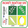 סט 4 שבלונות ארבעת המינים/גן לי
