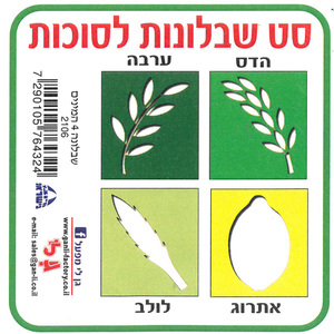 סט 4 שבלונות ארבעת המינים/גן לי