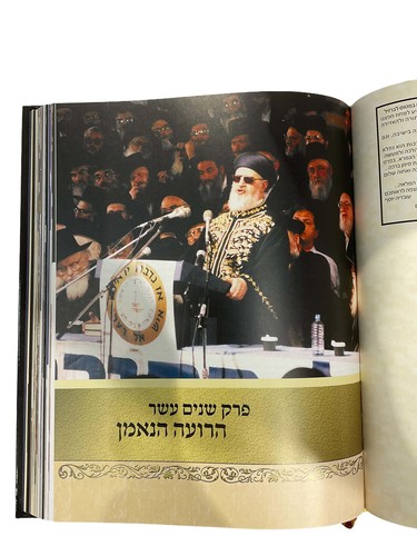 דוגמה מתוך הספר המנהיג