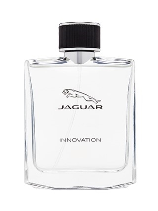 Jaguar Jaguar Innovation