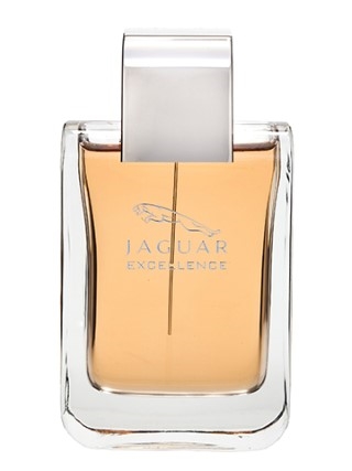 Jaguar Excellence 100ML EDT יגואר אקסלנס לגבר