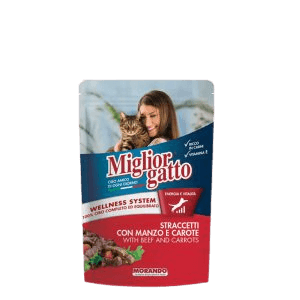 פאוץ