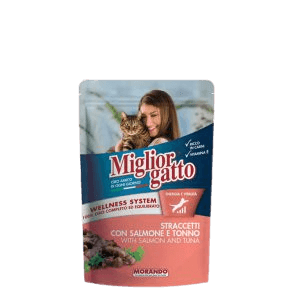 פאוץ