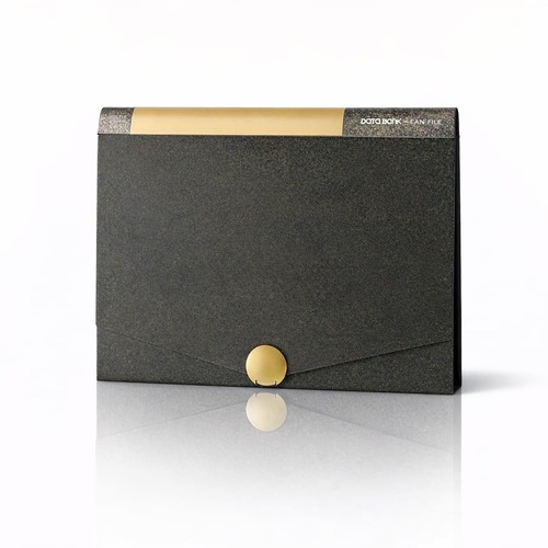 תיקיית מסמכים DOTTO BOOK CASE FILE
