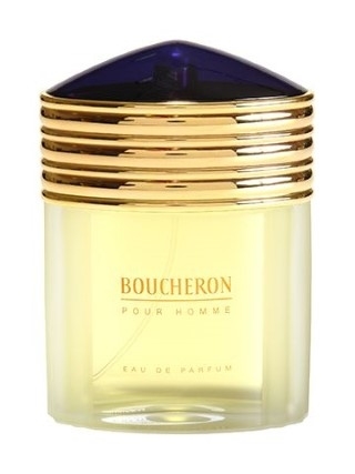 Boucheron Pour Homme 100ML EDP בושרון פור הום לגבר