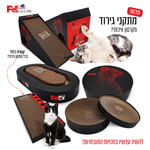 פטקס חתול קרטון גירוד פירמידה בשיפוע