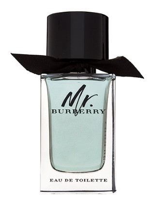 Burberry Mr. Burberry 100ML EDT ברברי מר ברברי לגבר