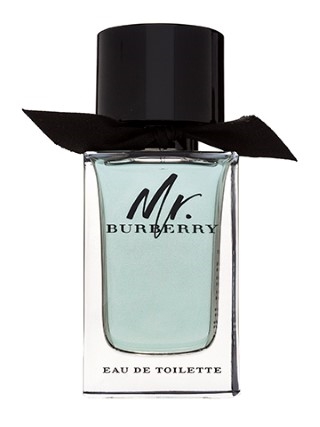 Burberry Mr. Burberry 100ML EDT ברברי מר ברברי לגבר