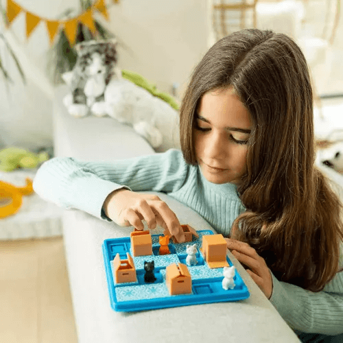 חתולים וקופסאות