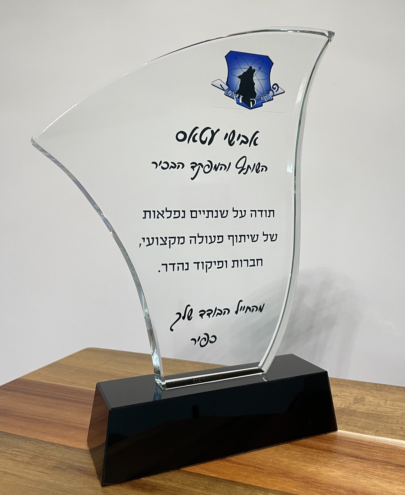 מגן הוקרה מקריסטל Hammer