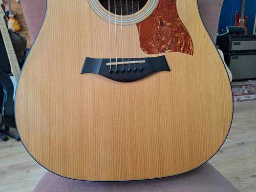 Taylor 110 2013