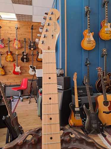 Fender American Professional Telecaster 2019