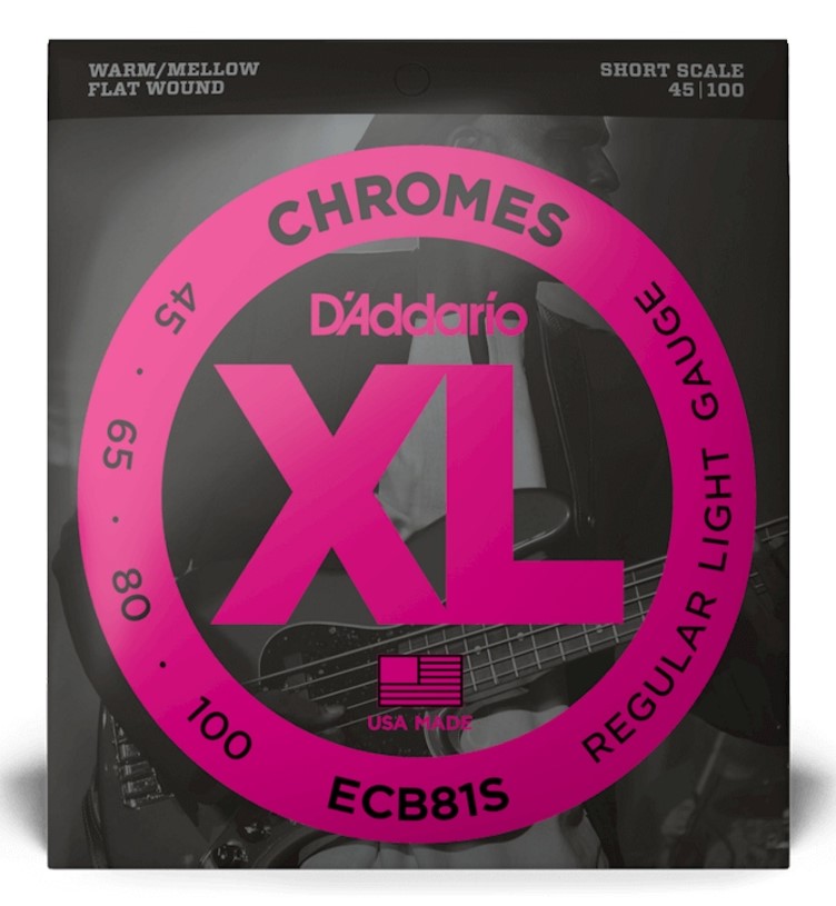 מיתרים לגיטרה בס D