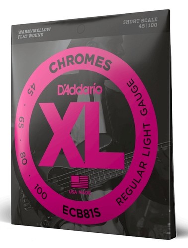 זוית נוספת D'Addario ECB81S Regular Light Short Scale