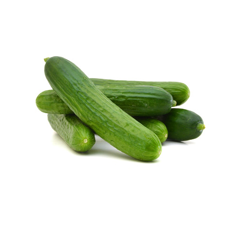מלפפון גמדי מארז 