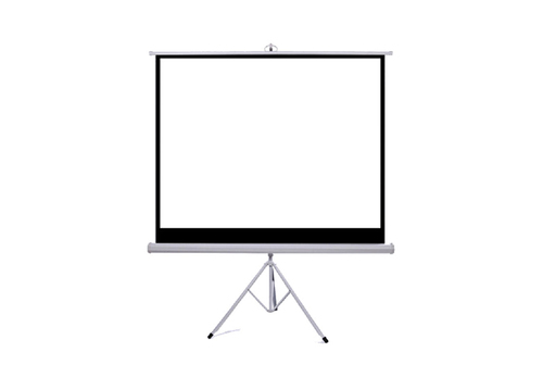 מסך הקרנה עם סטנד MTS244 מבית ATLASTAND