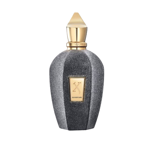 Xerjoff Ouverture 100ML EDP סרג'וף אוברטור יוניסקס