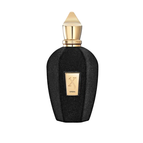 Xerjoff Opera 100ML EDP סרג