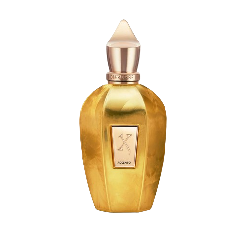 Xerjoff Accento Overdose 100ML EDP סרג'וף אסנטו אוברדוז יוניסקס