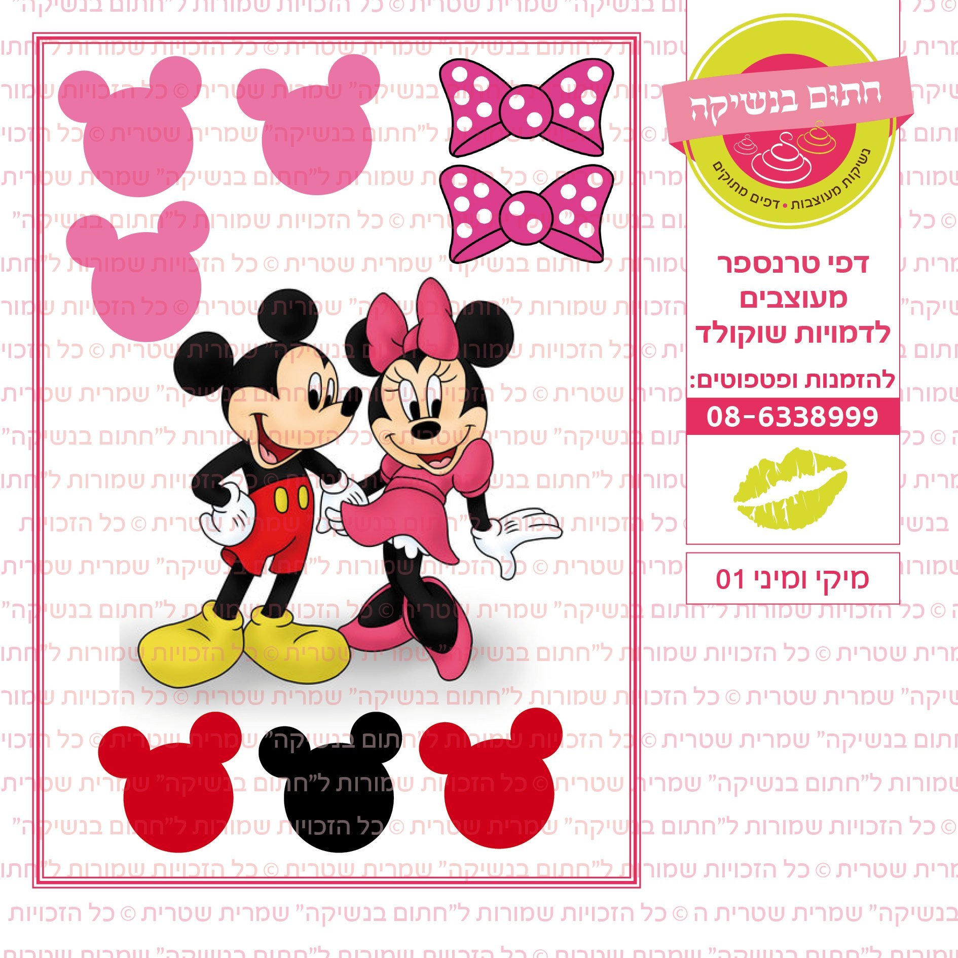 מיקי ומיני 01